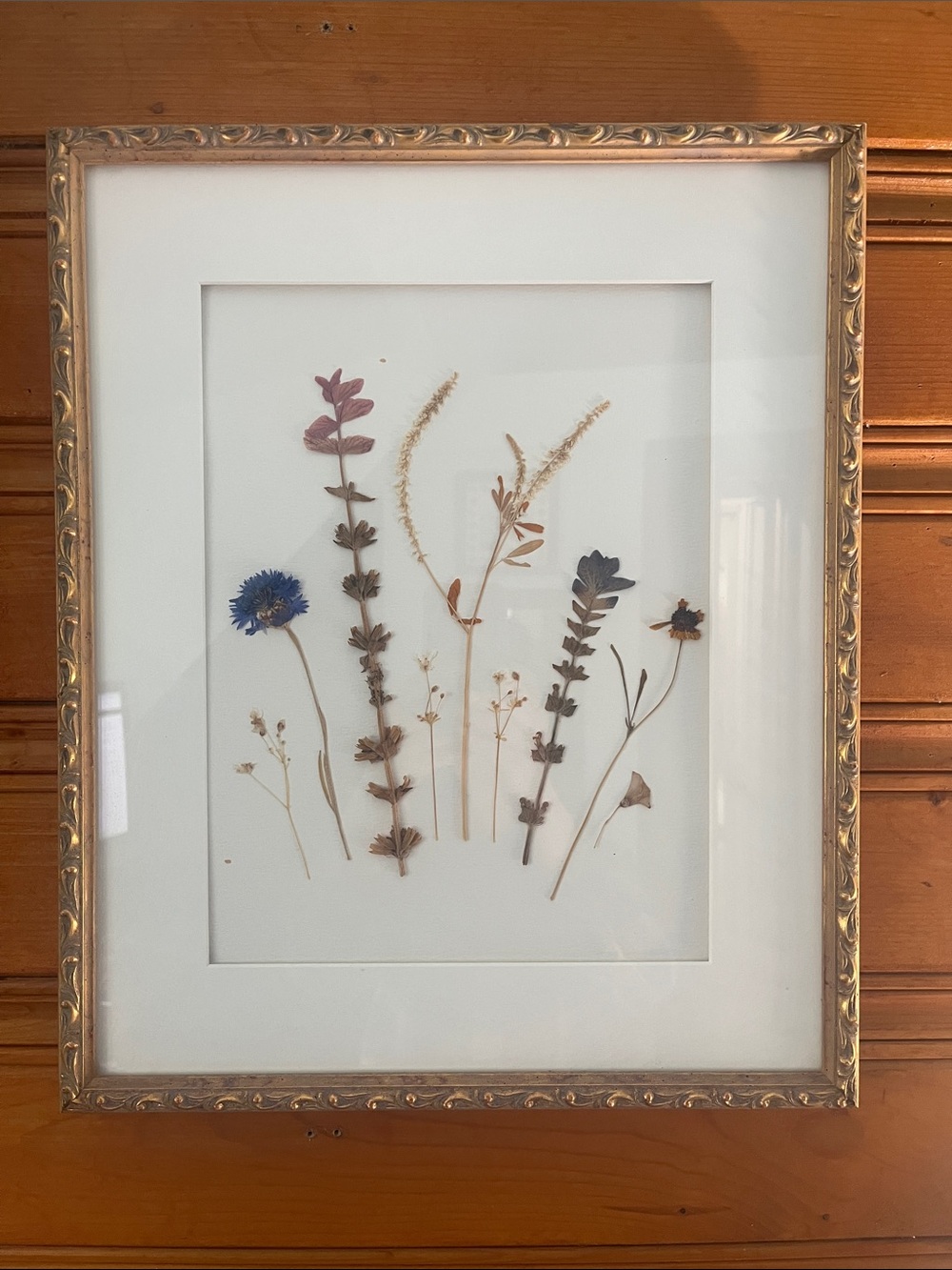 Vintage Pressed Floral Wall Art in Gold Frame - Neutral and Blue 14x16